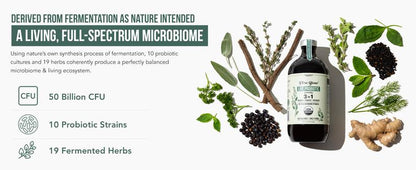 Flora Biome Live Probiotic